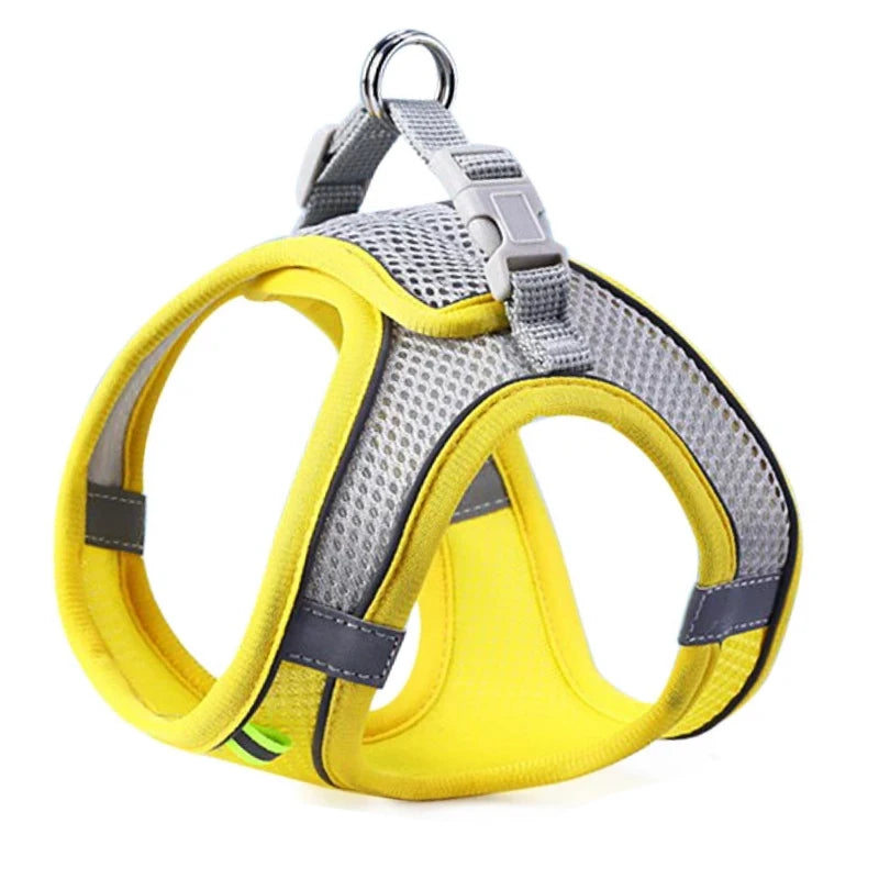 Reflective Adjustable Pet Harness & Leash Set for Dogs & Cats