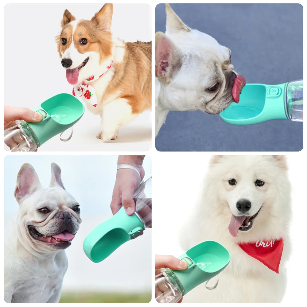 Portable Dog Water Bottle – Leakproof Travel Dispenser for Pets
