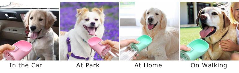 Portable Dog Water Bottle – Leakproof Travel Dispenser for Pets
