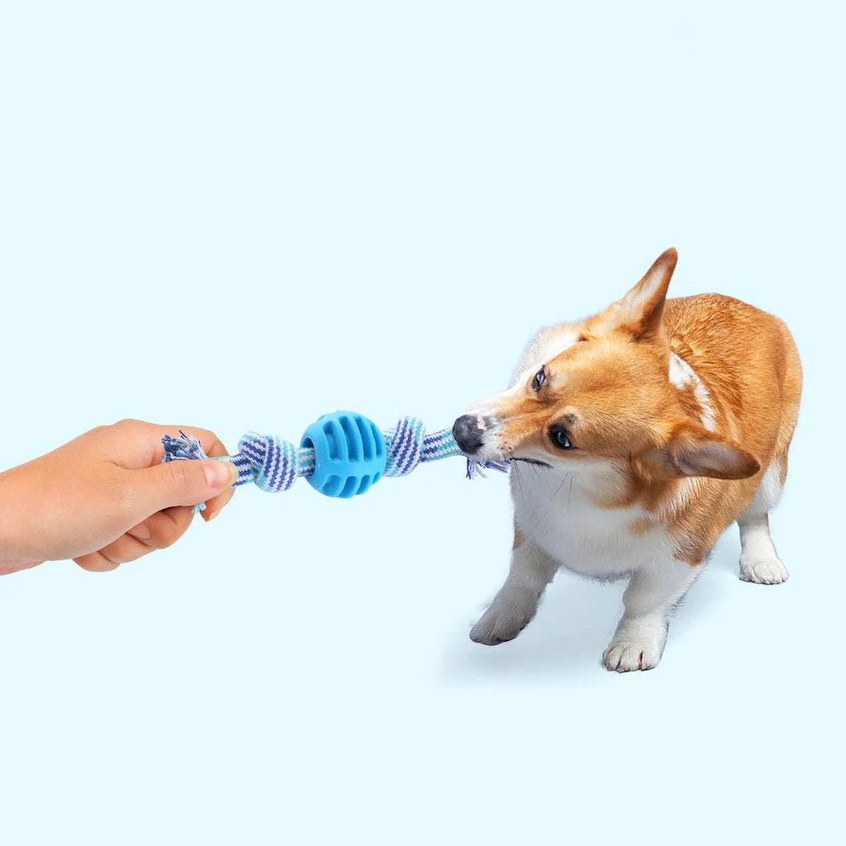 Durable Dog Rope Toy with Chew Ball – Cotton & TPR Pet Chew Toy