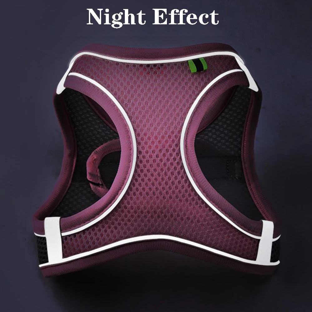 Reflective Adjustable Pet Harness & Leash Set for Dogs & Cats